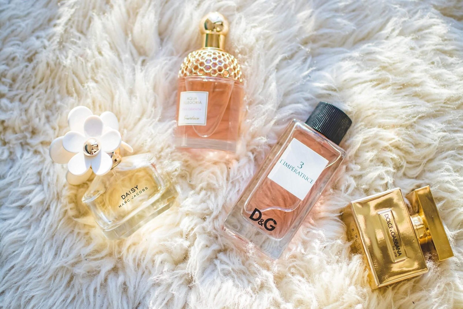 Punya Hobi Koleksi Parfum Tetap Oke Kalau Pakai digibank KTA
