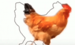 Cara Membuat Game Tangkap Ayam