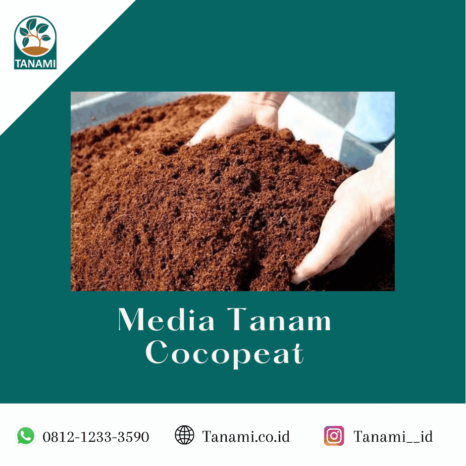 Cocopeat