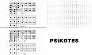 Test Psikotes