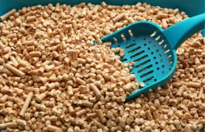 Wood Pellet