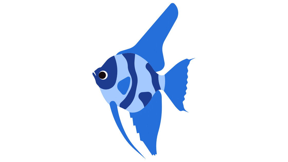 ikan hias