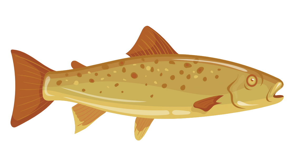 ikan hias