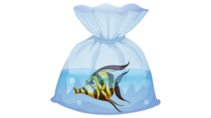 ikan hias