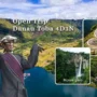 Paket Wisata Danau Toba: Menyelami Keindahan Alam dan Budaya